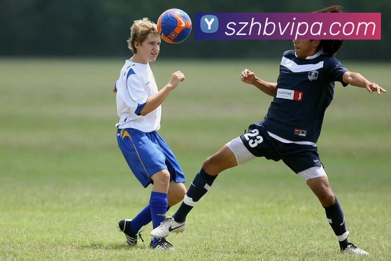 pa真人视讯品牌故事